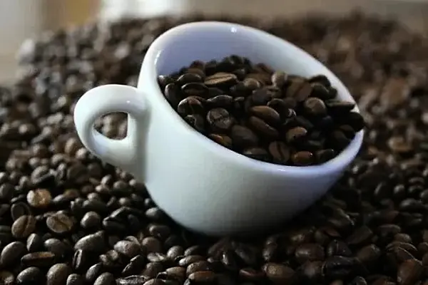 Premium Coffee Beans